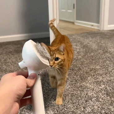 VaporaLux™ - Brosse de Toilettage 3-en-1