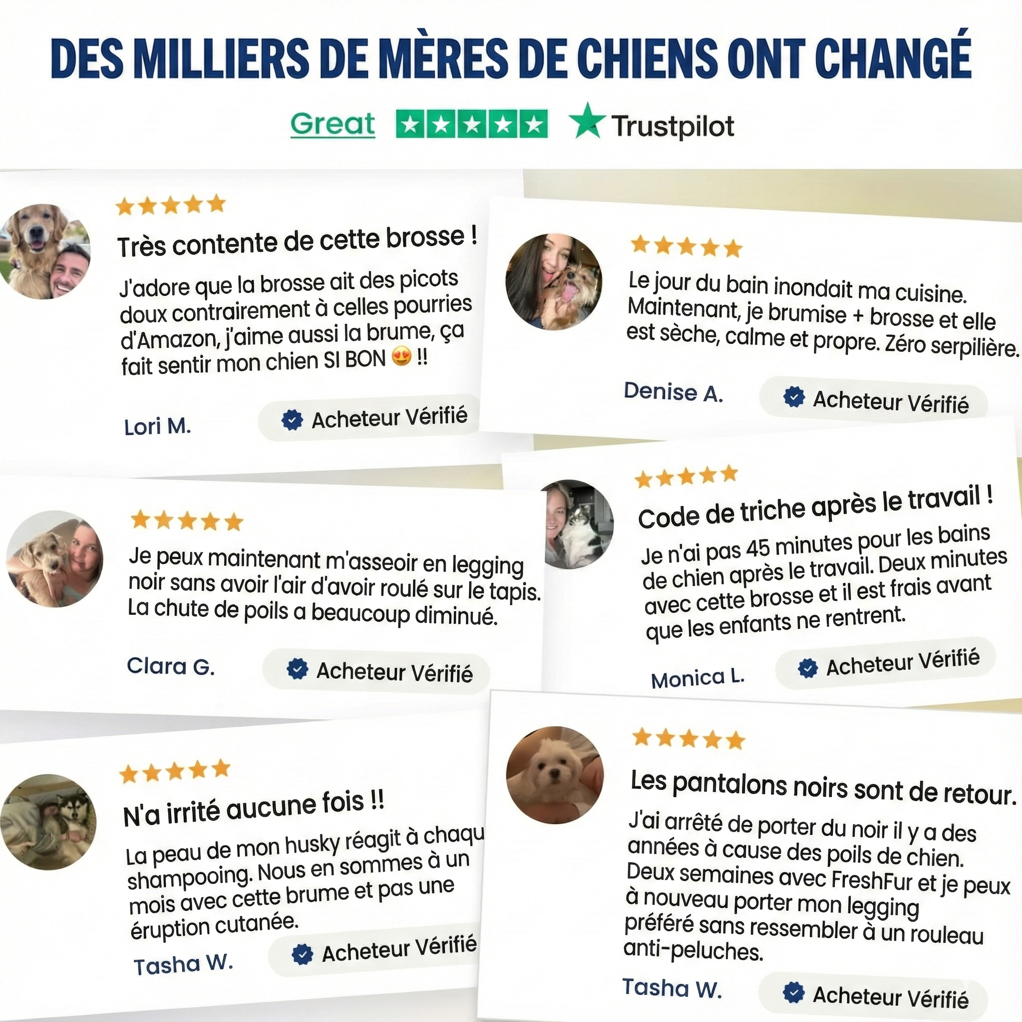 VaporaLux™ - Brosse de Toilettage 3-en-1