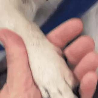 SafeClip – Coupez vos ongles sans risque ni stress