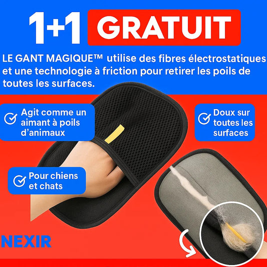 LE GANT MAGIQUE™